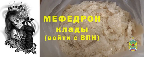 индика Бородино